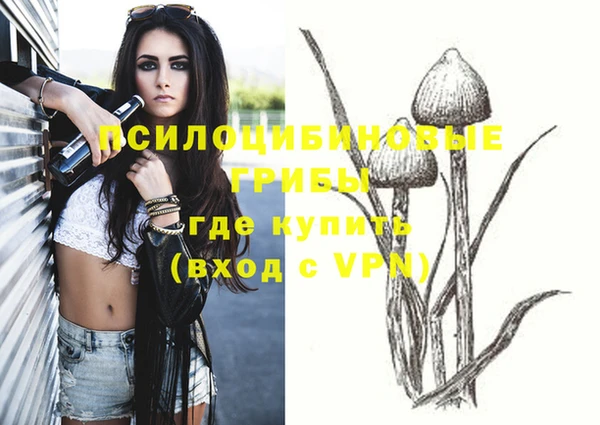 spice Абинск
